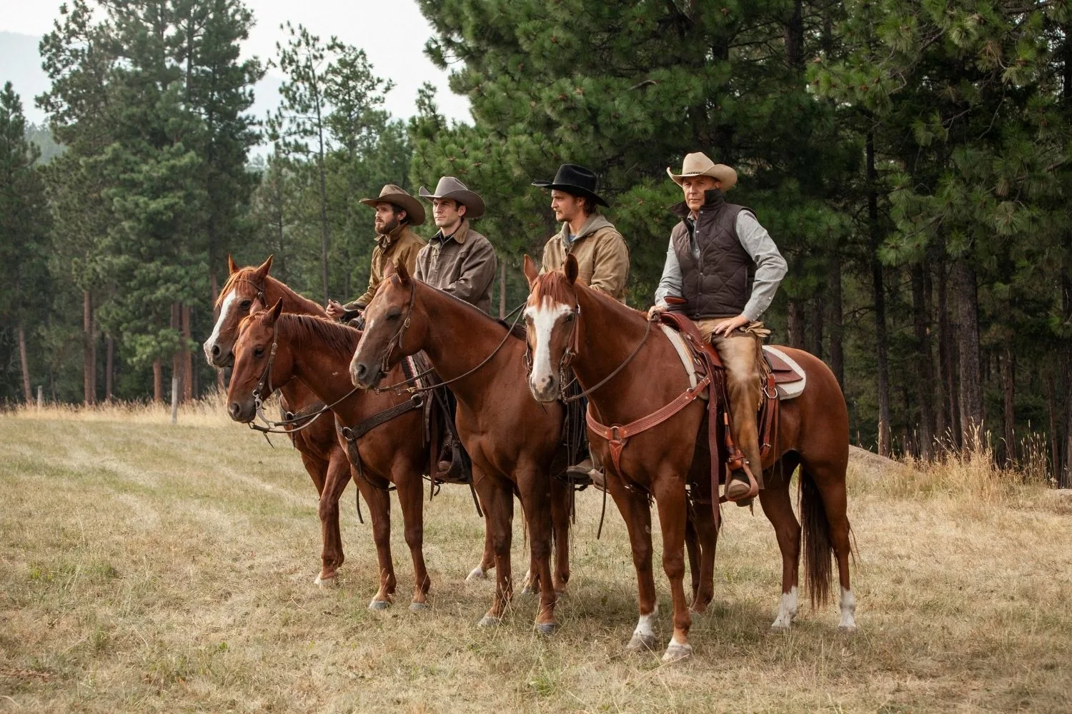Yellowstone Cast, Season 6 Info, & Where to watch in