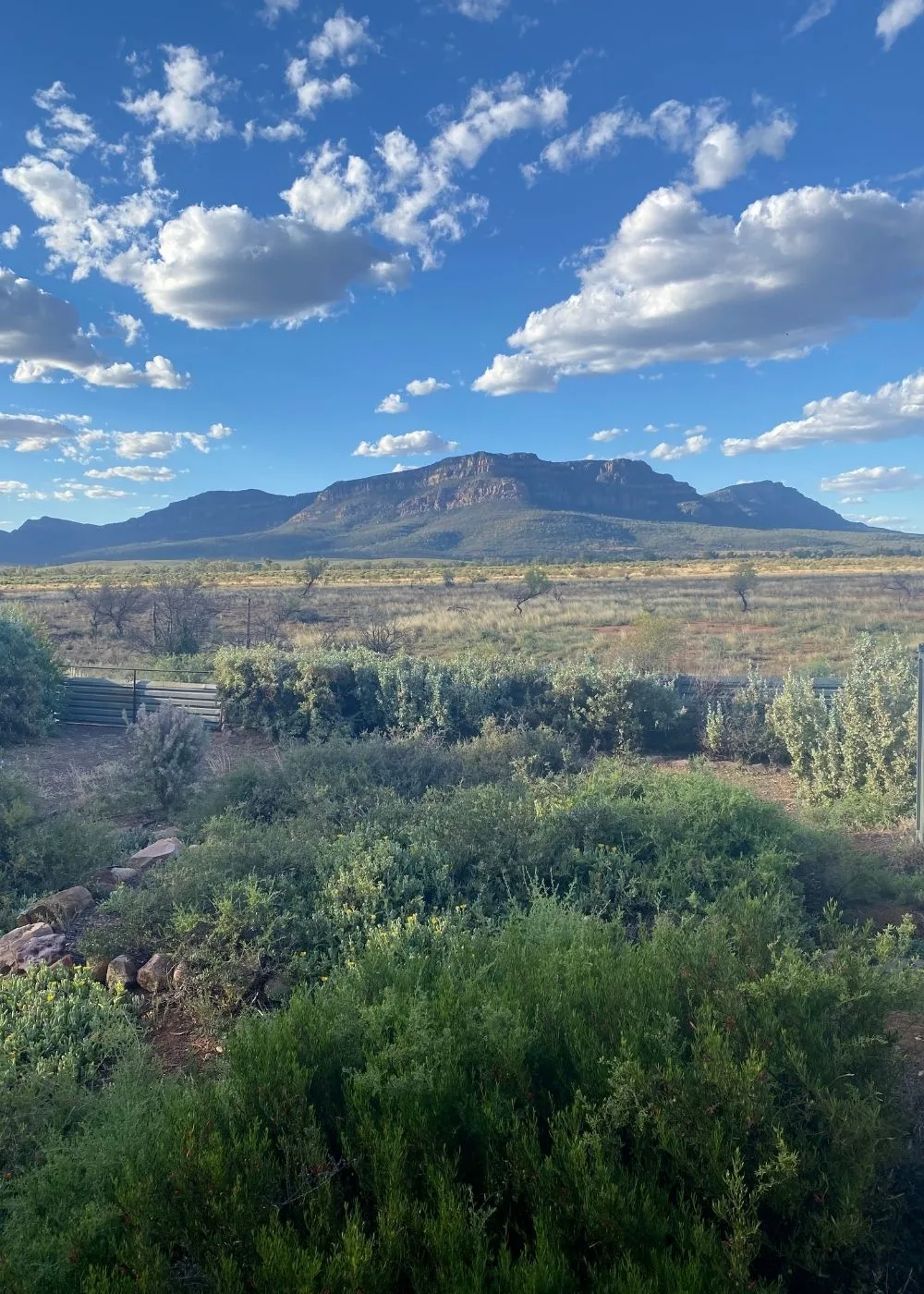 flinders-ranges-rawnsley-park