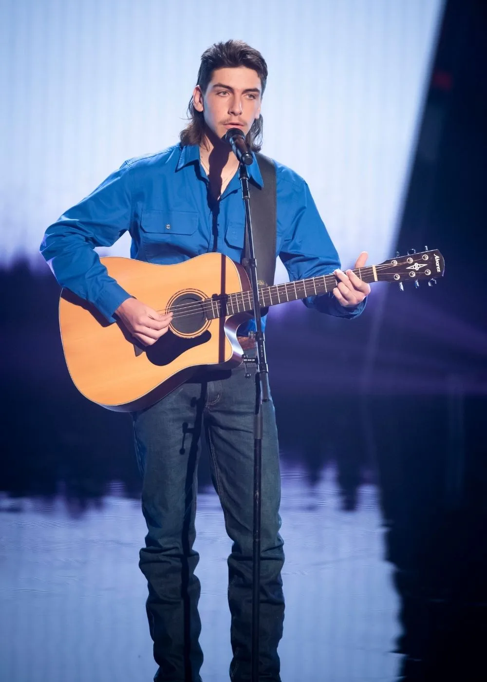 the voice