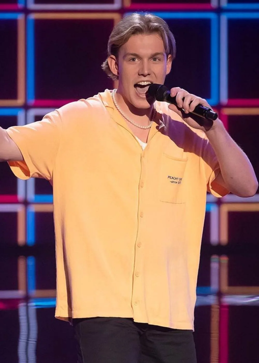 the voice