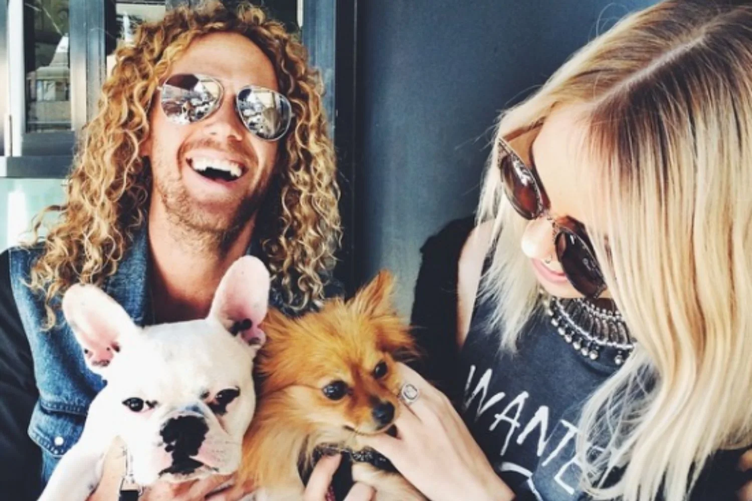 tully-smyth-tim-dormer-dogs