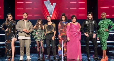 the-voice-holding