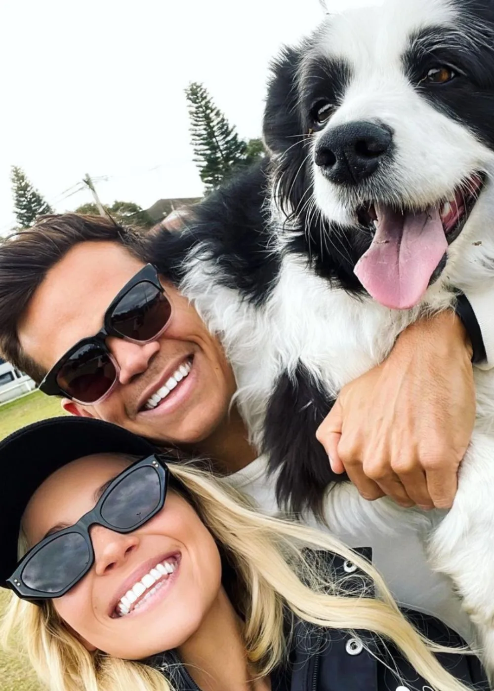 holly-jimmy-dog-billie