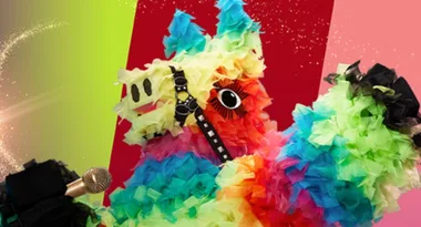 Is The Masked Singer real or fake?