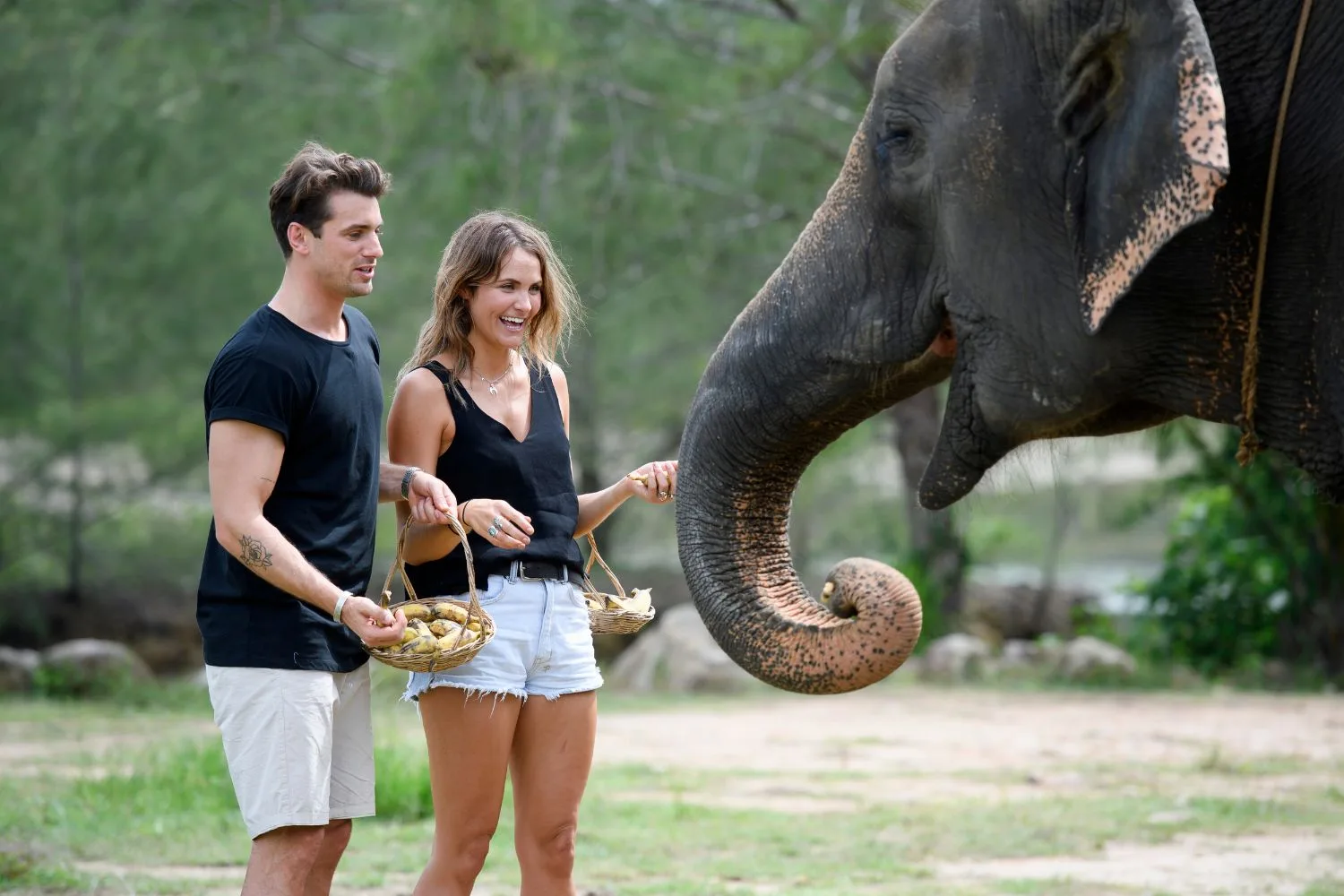 matty-j-laura-byrne-the-bachelor