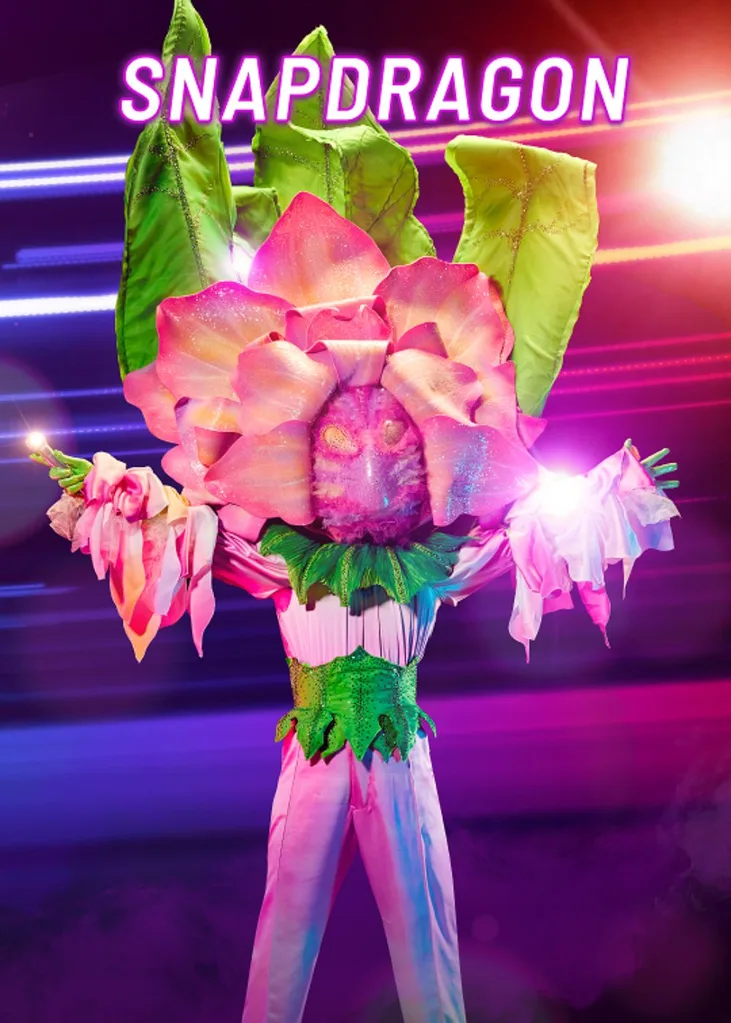 the-masked-singer-snapdragon