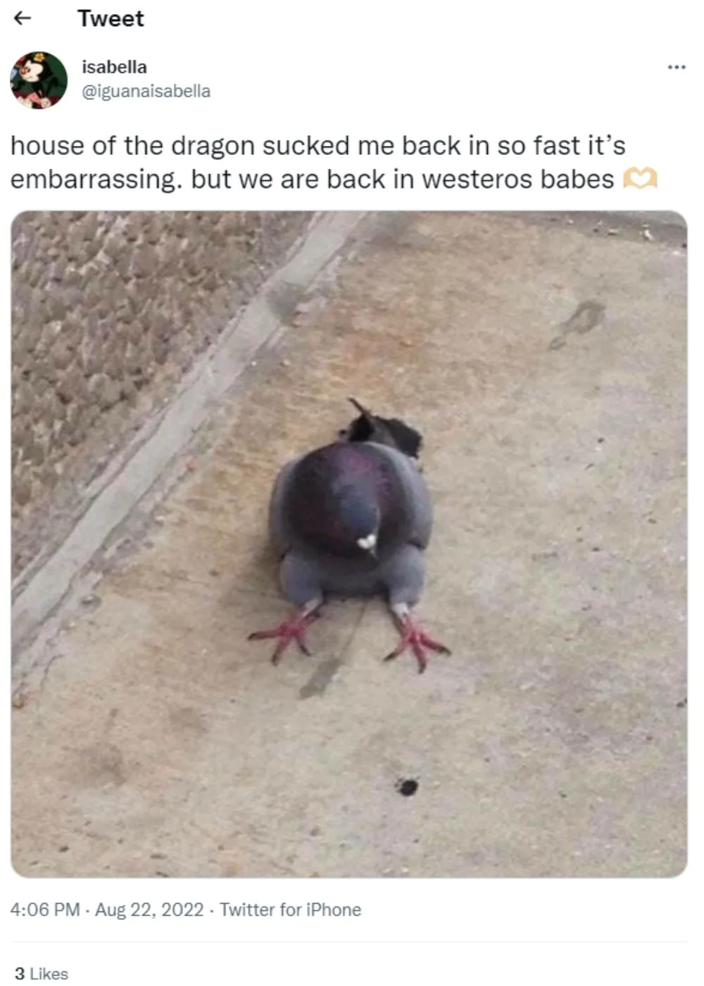 house-of-the-dragon-pigeon-meme