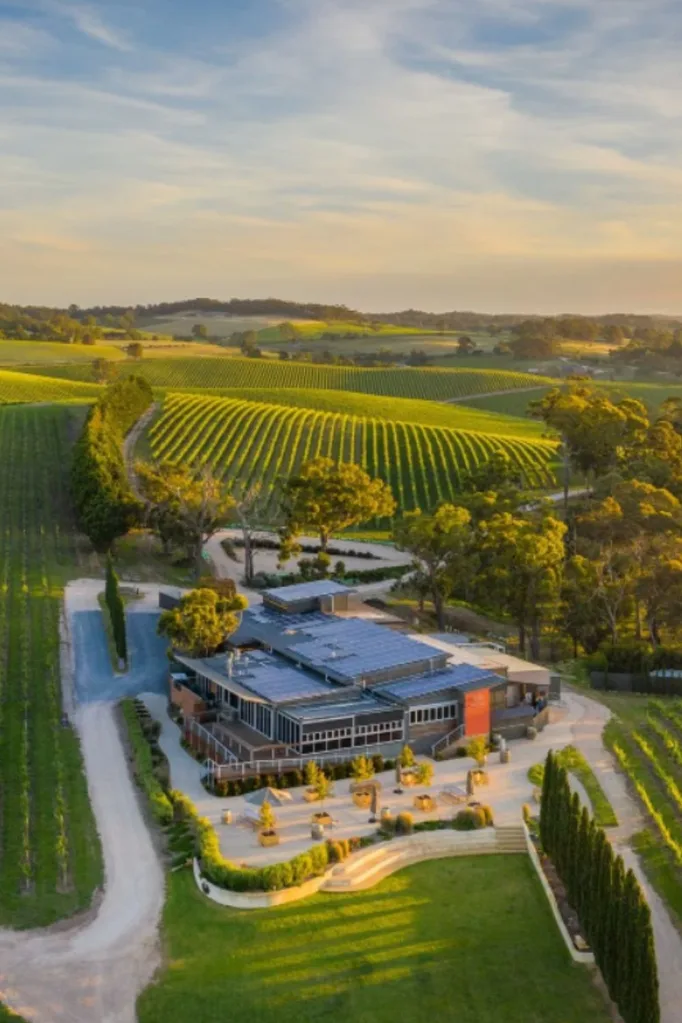 The Lane Vineyard