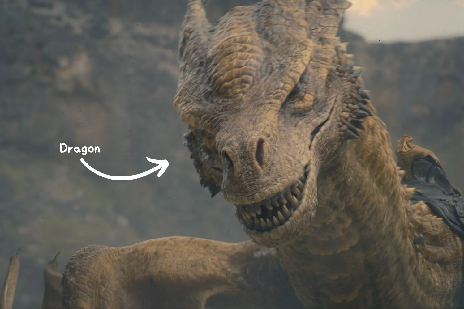 Fire and Blood and Dragons