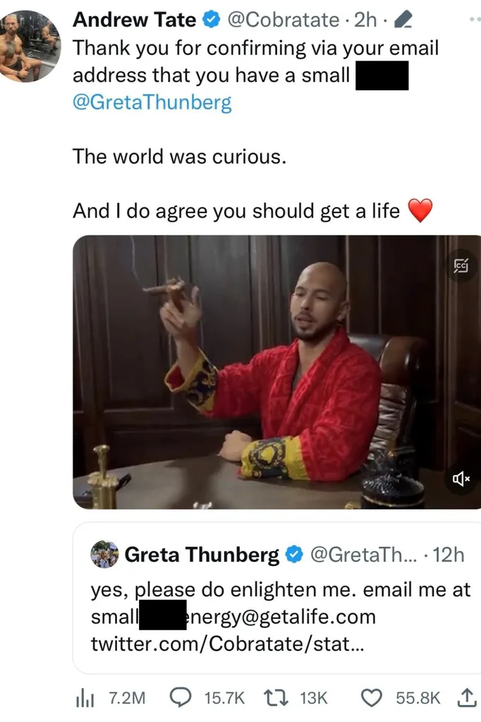 Andrew-tate-greta-thunberg-twitter-response