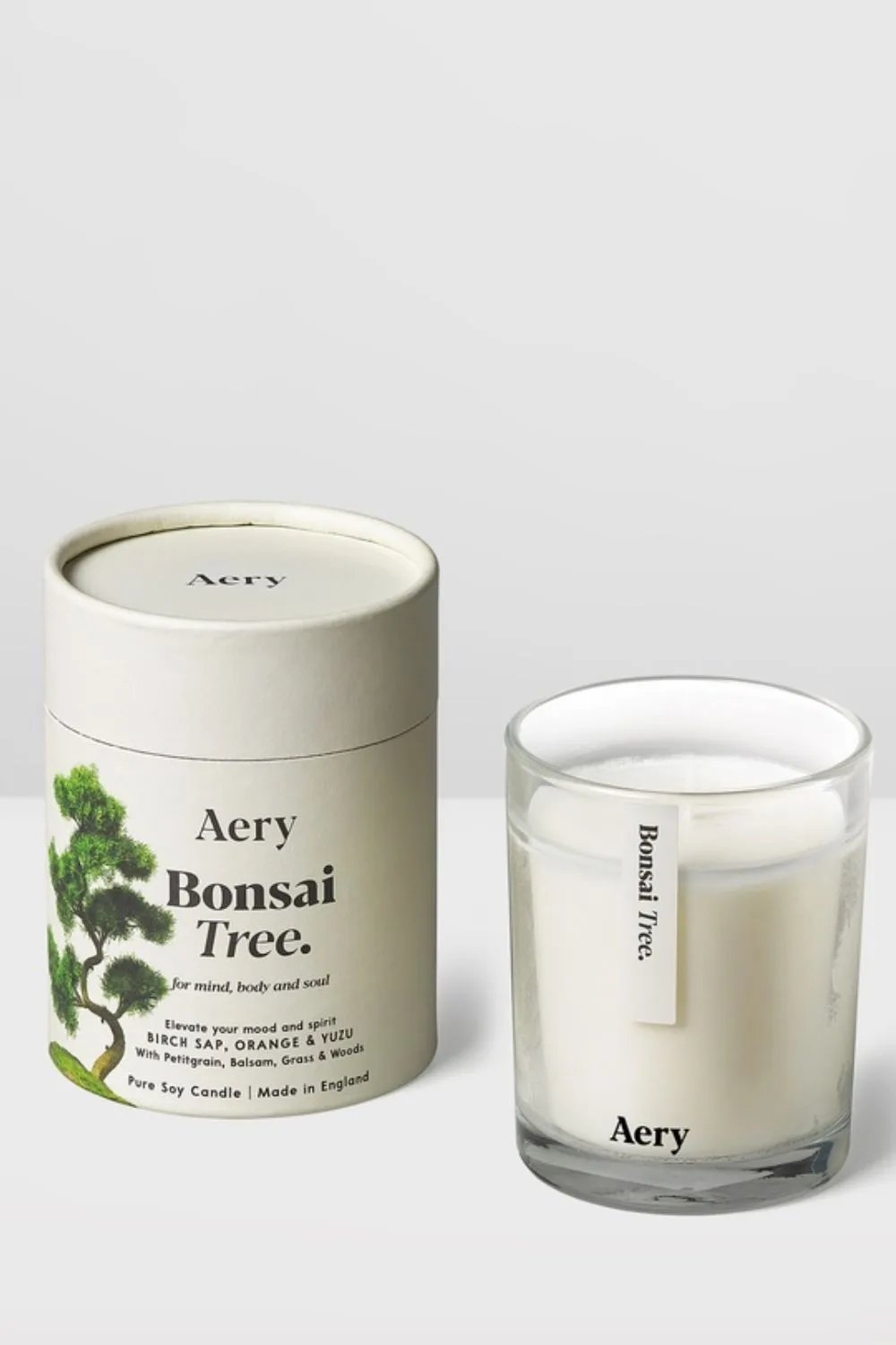 aery-bonsai-tree