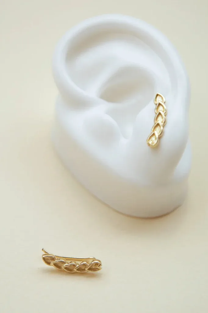 bonito-ear-climber
