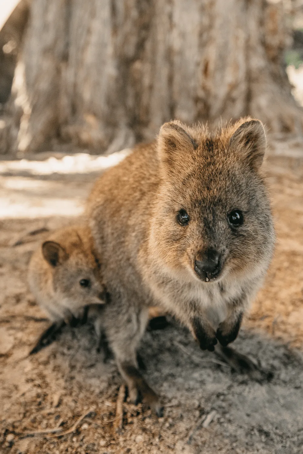 western-australia-winter-holiday