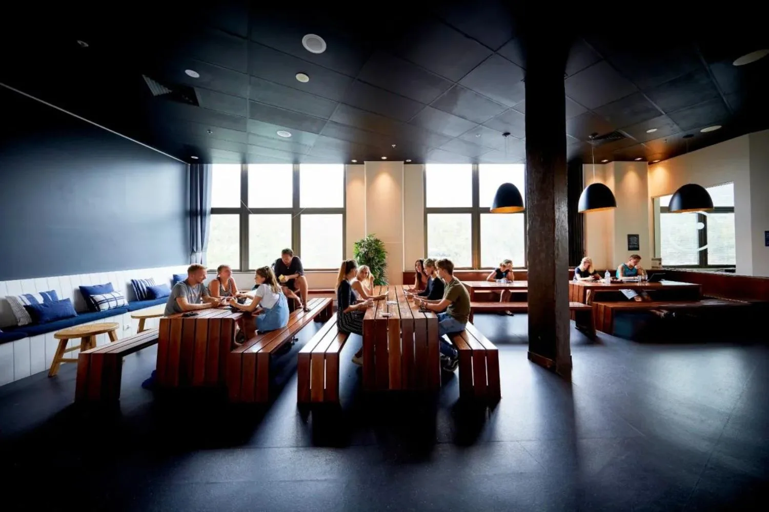 hostel accommodation sydney taylor swift