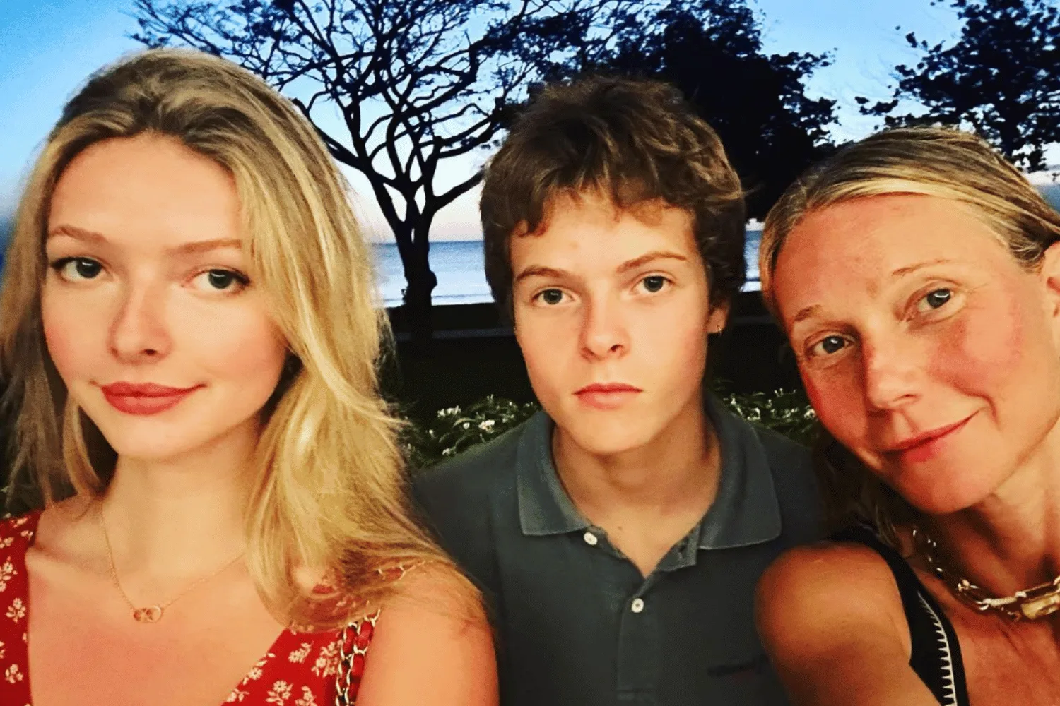 How Gwyneth Paltrow and Chris Martin co-parent their kids WHO