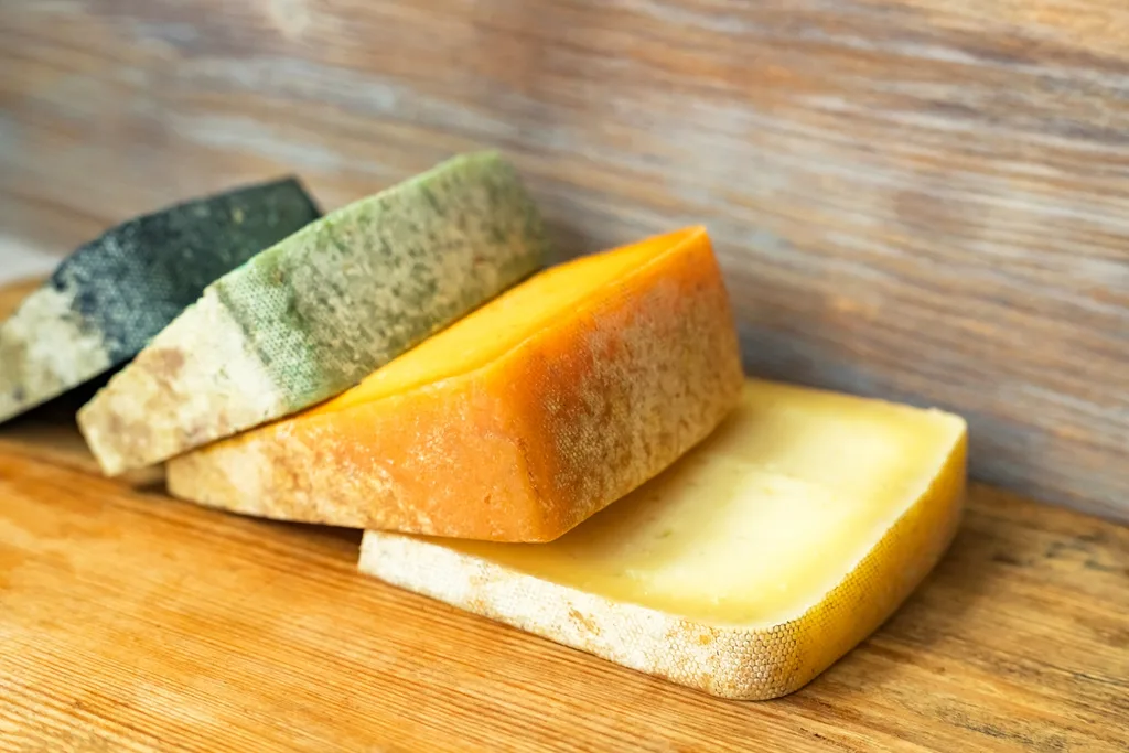 mouldy-cheese