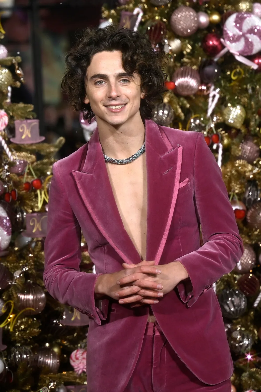 Timothee Chalamet at the Wonka premiere in London.