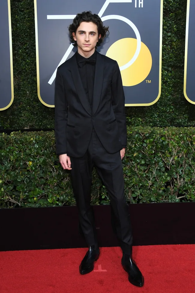 timothee chalamet golden globes 2018