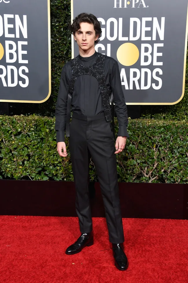 timothee chalamet golden globes 2019