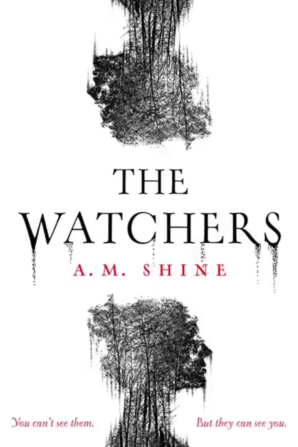 the watchers book