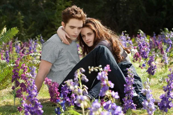 twilight bella and edward in a field