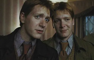 This Harry Potter Theory About The Weasley Twins Is SO Interesting