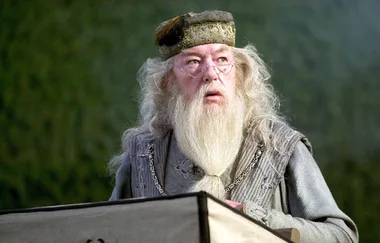 Fans RAGE As Dumbledore Won’t Be Gay In The New Fantastic Beasts Movie