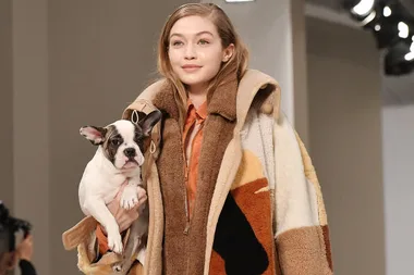 Gigi Hadid carried a cute doggy down the runway at Milan Fashion Week