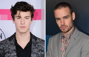 Liam Payne has trolled Shawn Mendes on Twitter and it’s fabulous