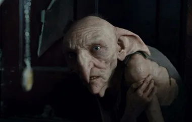 This Harry Potter Fan Theory About Kreacher Will Make You See Him Differently