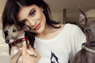 Could growing up with pets be the secret to health and happiness?