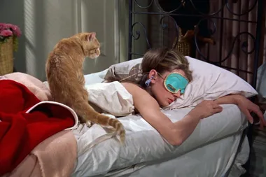 We don’t actually need 8 hours of sleep per night, expert says