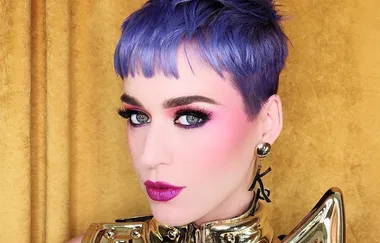 ‘Most followed person’ Katy Perry lost MILLIONS of followers in Twitter’s spam-sweep