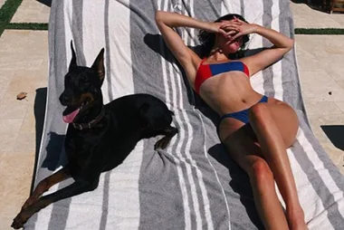 Apparently Kendall Jenner’s dog attacked a child