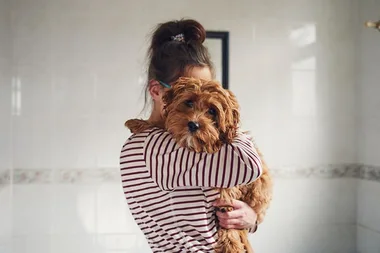 One third of animal owners prefer their pet to their partner