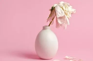 5 reasons why your libido has disappeared