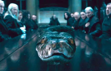 You won’t BELIEVE what the new Fantastic Beasts trailer reveals about Nagini’s past