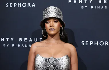 Rihanna turned down the Super Bowl half time performance and celebrities are shook