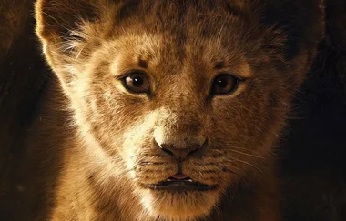 SOUND THE ALARMS ‘The Lion King’ trailer is officially HERE