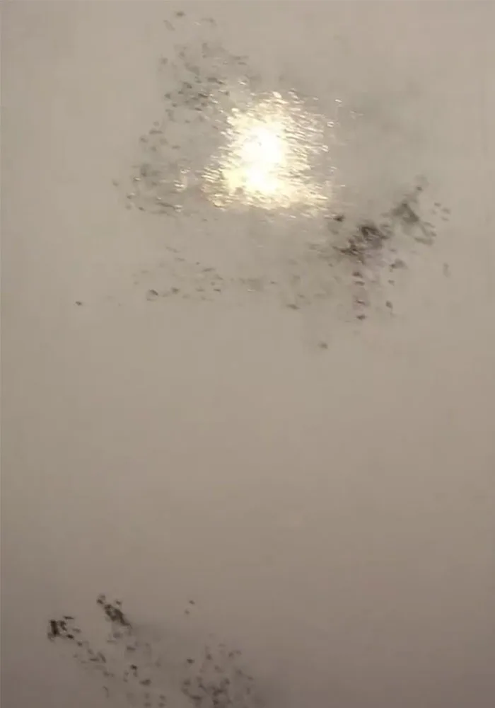 kylie jenner wall