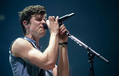 Shawn Mendes was injured by a fan during his concert