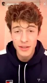 Shawn Mendes has a large cut on his face from a fan
