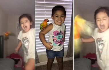 WATCH: Young girl trained her bird to attack anyone she screams at
