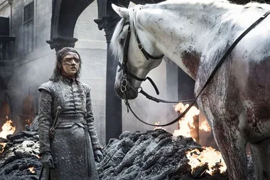 Twitter wants to know what that horse was in ‘Game of Thrones’