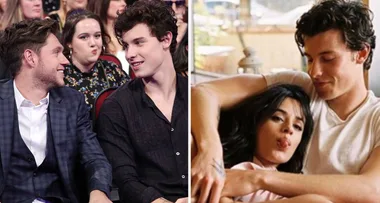 Niall Horan and Camila Cabello just did the sweetest thing for Shawn Mendes after opening up about bullying