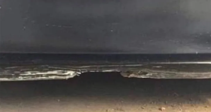 Trippy beach photo