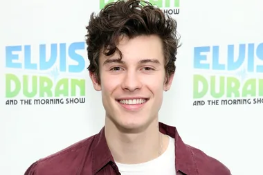 Shawn Mendes is heavily criticised for not helping a fan come out as bisexual to her parents