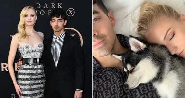 Joe Jonas and Sophie Turner’s pet dog tragically killed
