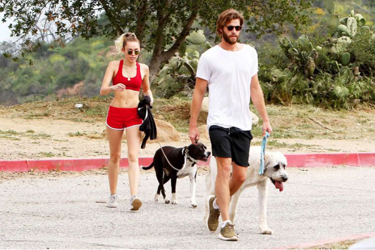 mileycyrusliamhemsworth