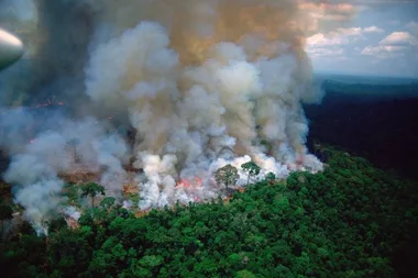 Why you haven’t heard about the Amazon fire